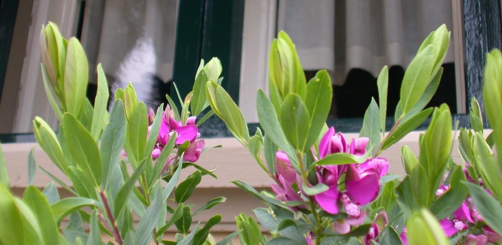 Villa Le Luci Castagneto Carducci Ngoại thất bức ảnh